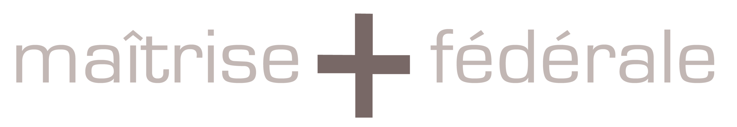logo maitrise_Plan de travail 1